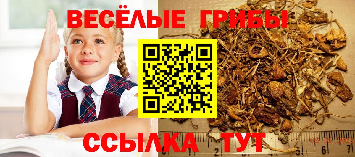 Галлюциногенные грибы ЛСД  Псилоцибиновые грибы GOLDEN TEACHER  Вход с VPN  Зеленодольск 