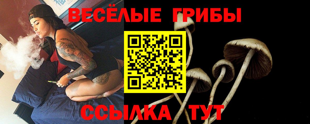 Галлюциногенные грибы Psilocybine cubensis Зеленодольск